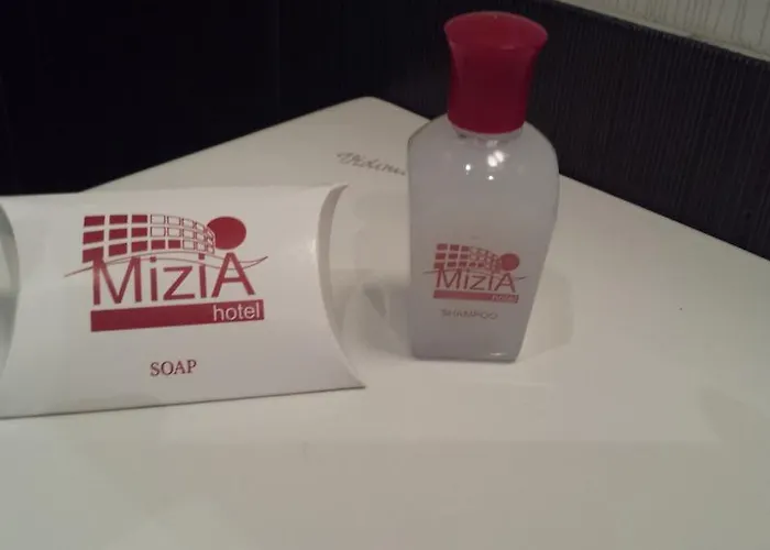 Hotel Mizia *